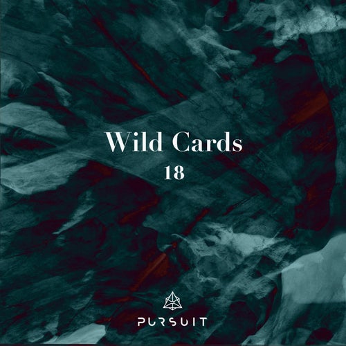 Cover art for Wild Cards 18