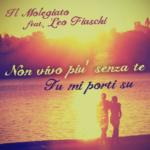Non vivo piu senza te - Tu mi porti su (feat. Leo Fiaschi)