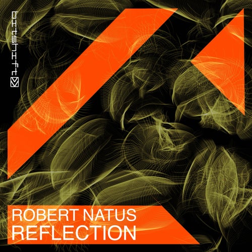 Reflection