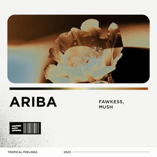 Ariba