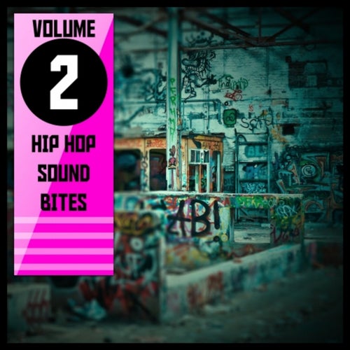 Hip Hop Sound Bites,Vol.2