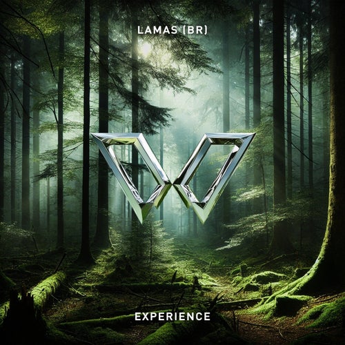 Experience - Extended Mix
