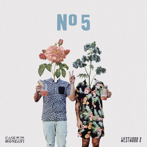 Nº 5