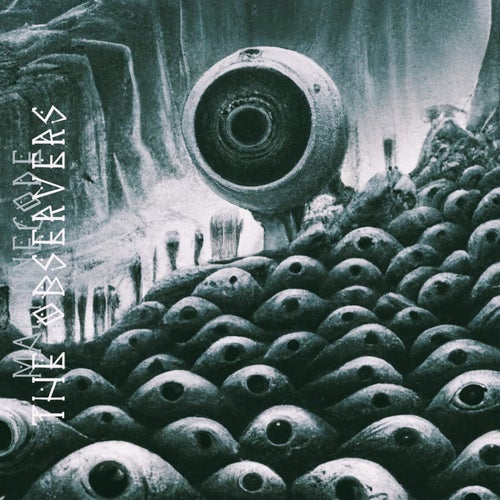 Cover art for The Observers
