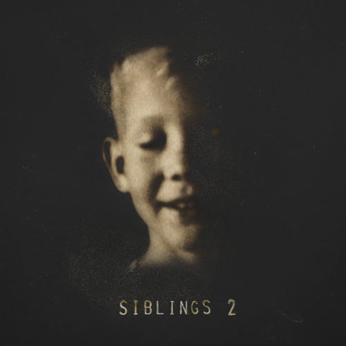 Cover art for Siblings 2