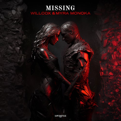 Cover art for Missing