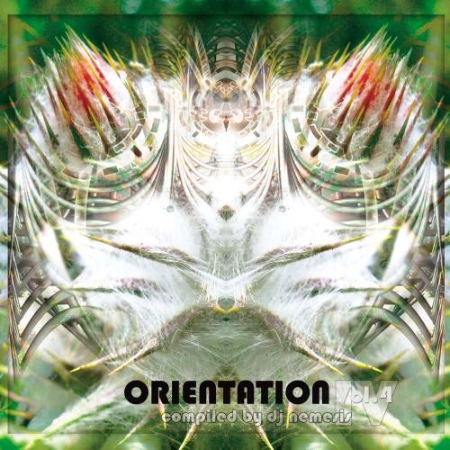 Orientation Vol. 4