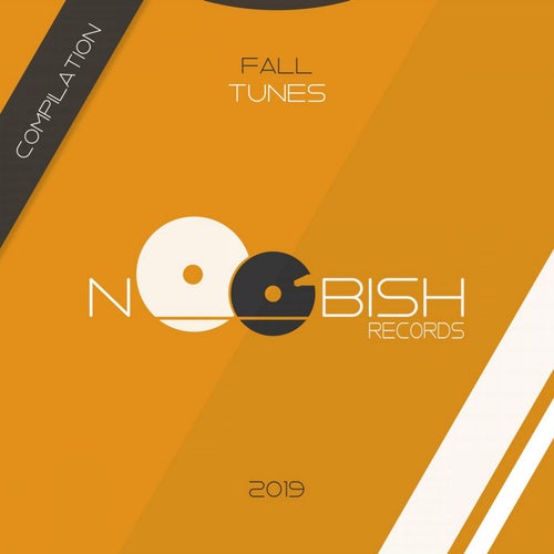 Fall 2019 Compilation