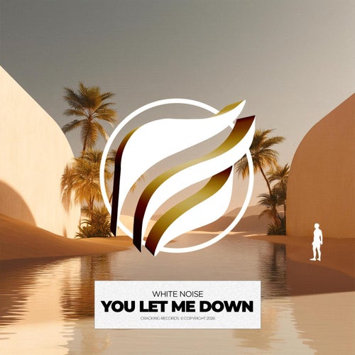 You Let Me Down