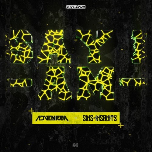 Cover art for Say I Am