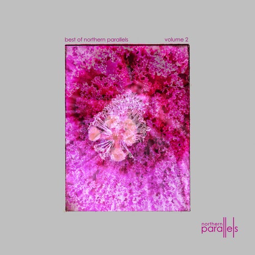 Best Of Northern Parallels 002