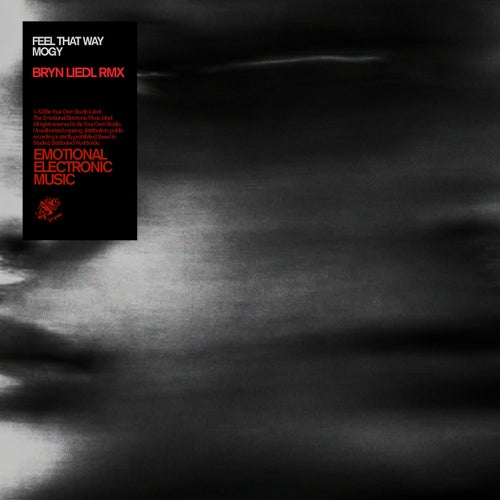 Feel That Way (Bryn Liedl Remix)