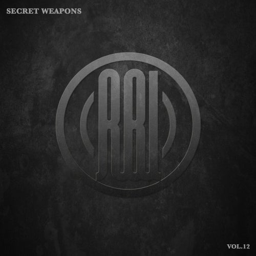 Secret Weapons, Vol.12