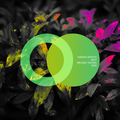 Best Melodic Techno 2025