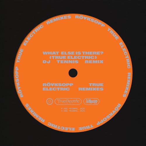  Royksopp & Fever Ray - What Else Is There (DJ Tennis Remix) (2025) 