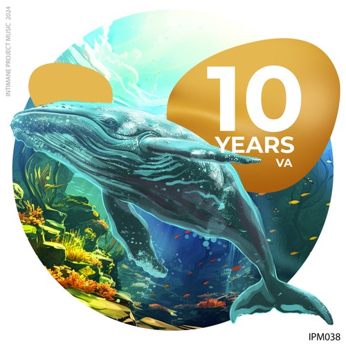VA 10 Years Originals IPM038