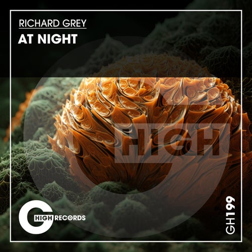 Richard Grey - At Night (Original Mix) [2024]