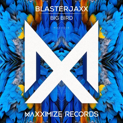 Big Bird (Extended Mix)