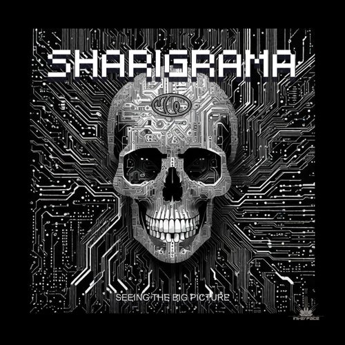  Sharigrama - Seeing the big picture (2024) 