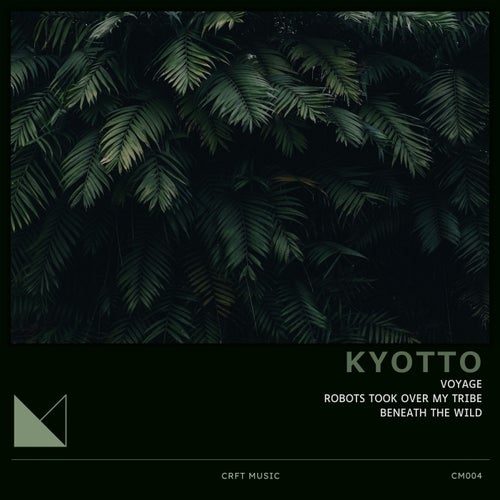 Cover art for Voyage