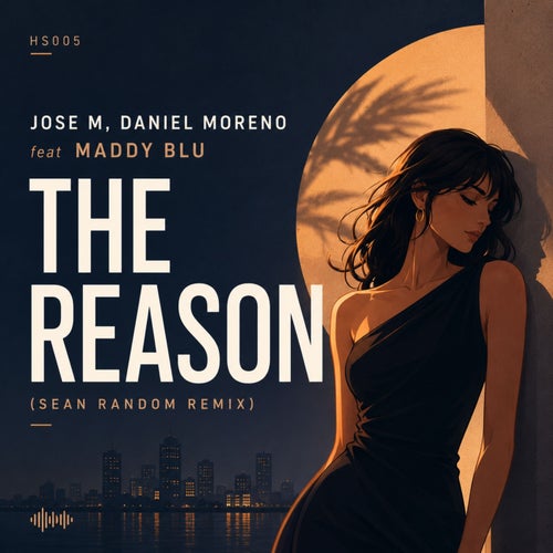 The Reason (Sean Random Remix)
