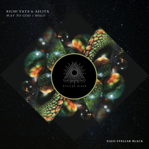  Richi Vata & Aelita - Way to God / Holo (2025) 