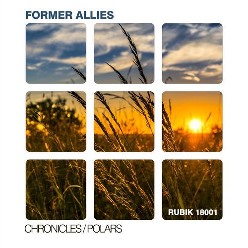 Cover art for Chronicles/Polars