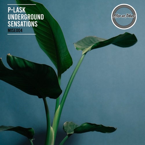 Underground Sensations