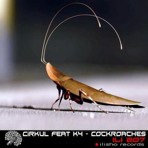 Cockroaches