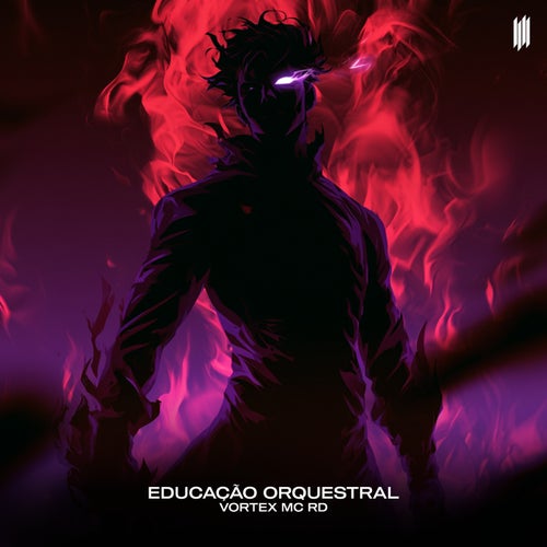EDUCAÇÃO ORQUESTRAL