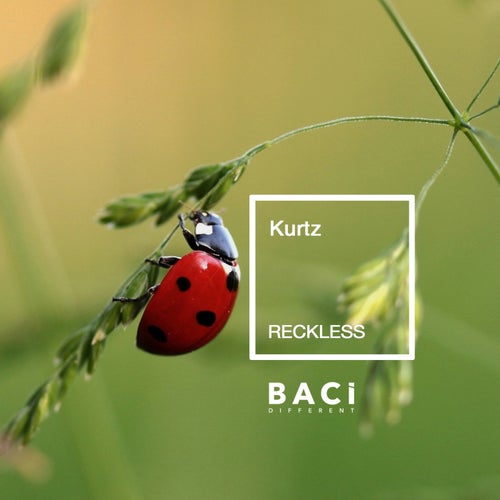 Cover art for Reckless