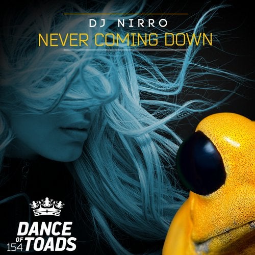 Cover art for Never Coming Down