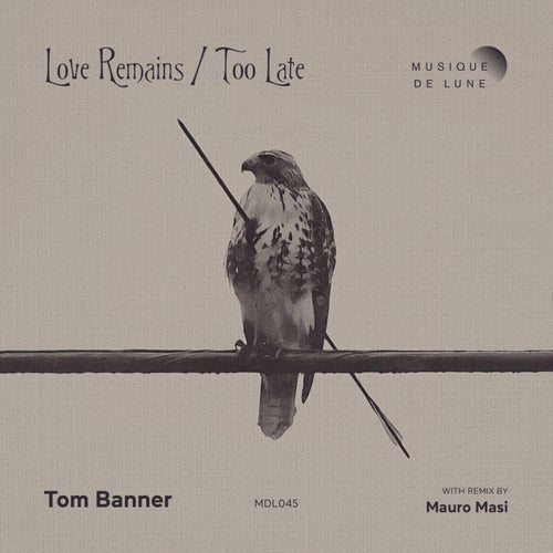 Love Remains / Too Late