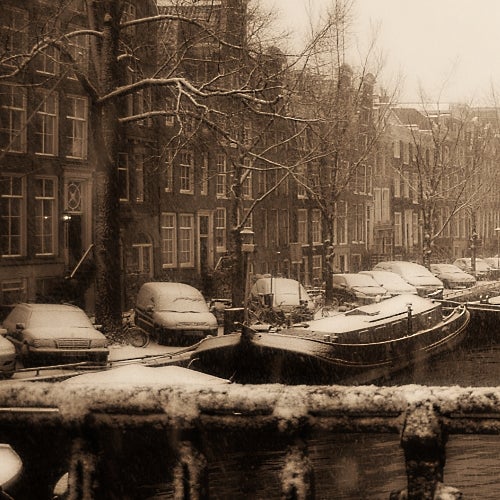 Pavlo Dolynskyi White Amsterdam