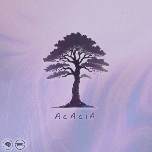Acacia