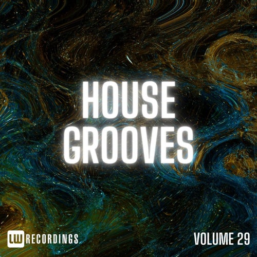 House Grooves, Vol. 29