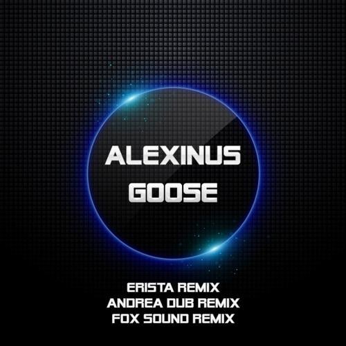 Goose - The Remixes