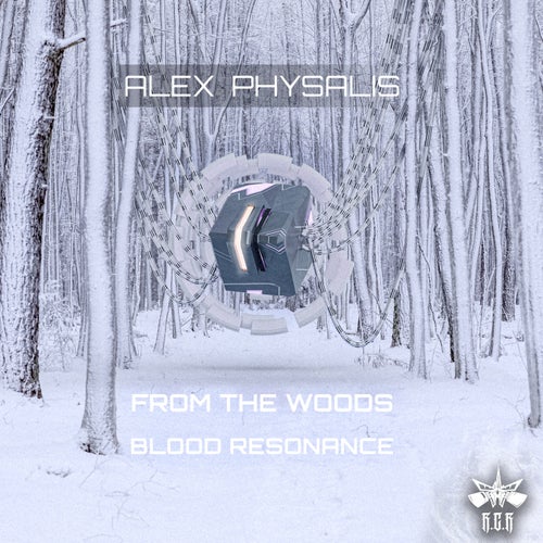 From The Woods