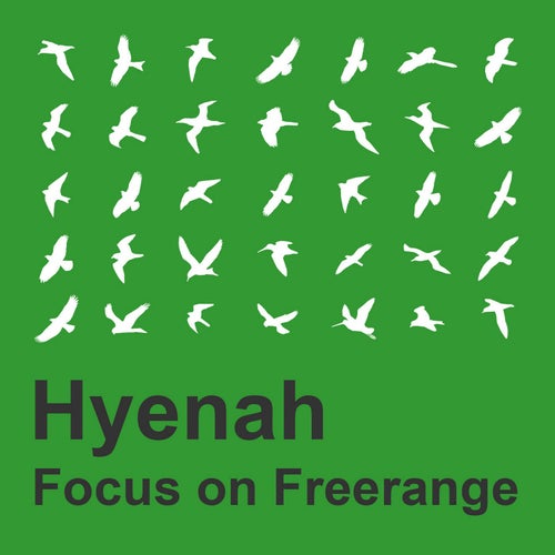 Focus on Freerange: Hyenah