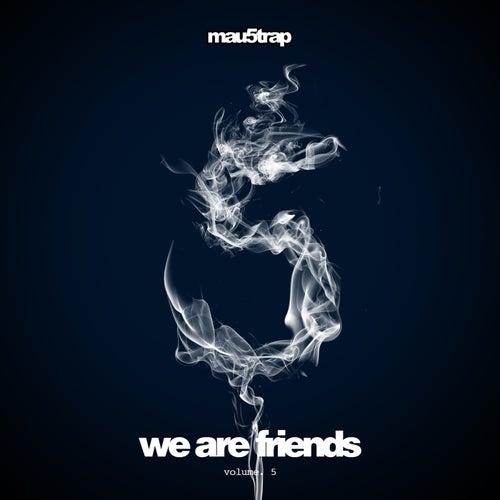 Cover art for We Are Friends, Vol. 5