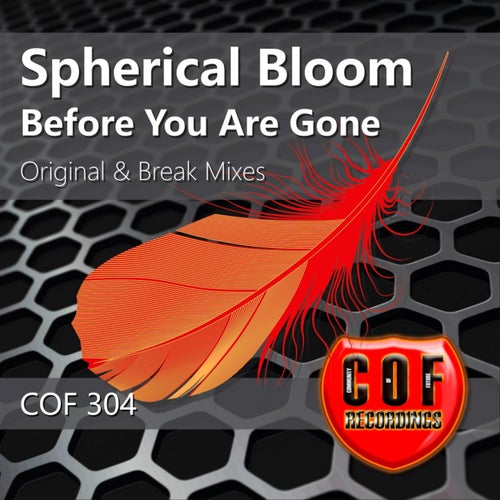 Before You Are Gone
