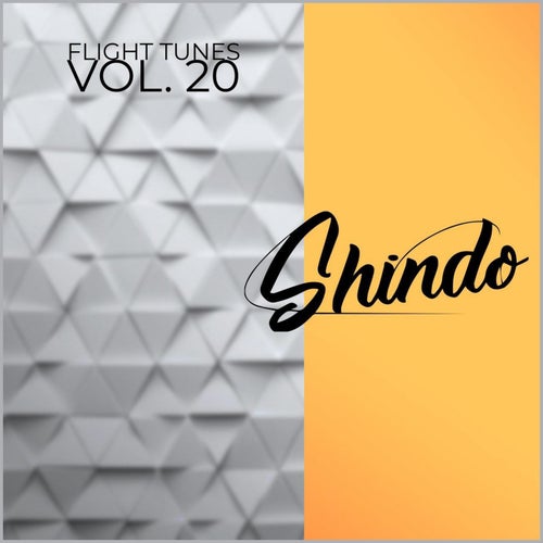 Flight Tunes, Vol. 20
