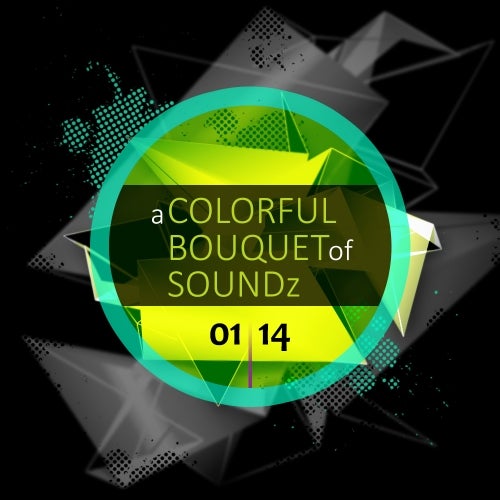 a COLORFUL BOUQUET of SOUNDz / 01.14