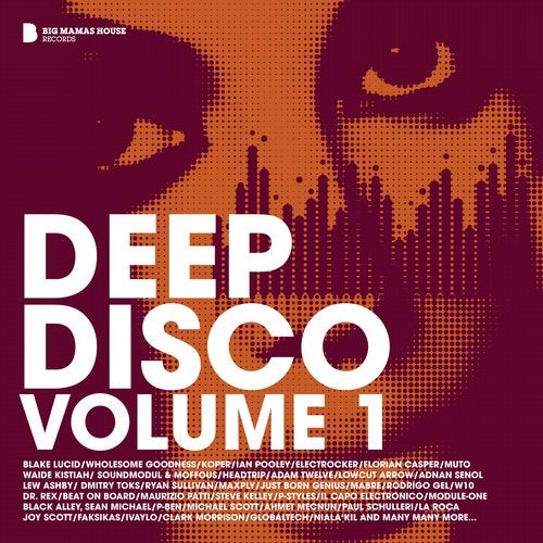 Deep Disco Volume 1