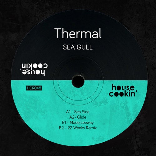 Sea Gull