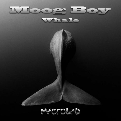 Whale