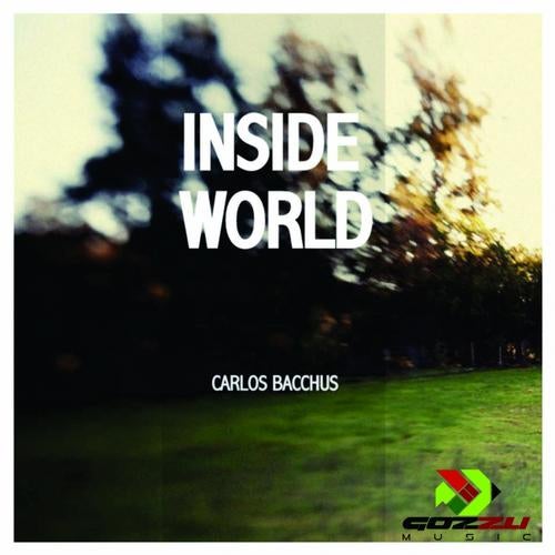 Inside World