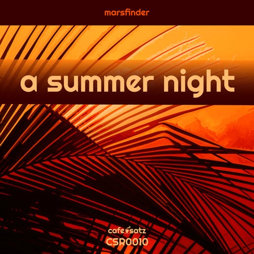 A Summer Night