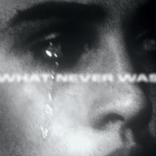 WHAT NEVER WAS Vol. VI
