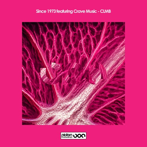 Since 1973 ft Crave Music - CLMB (2024)